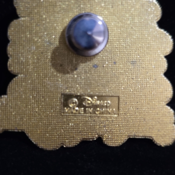 Disney Splash mountain pin - Picture 2 of 2